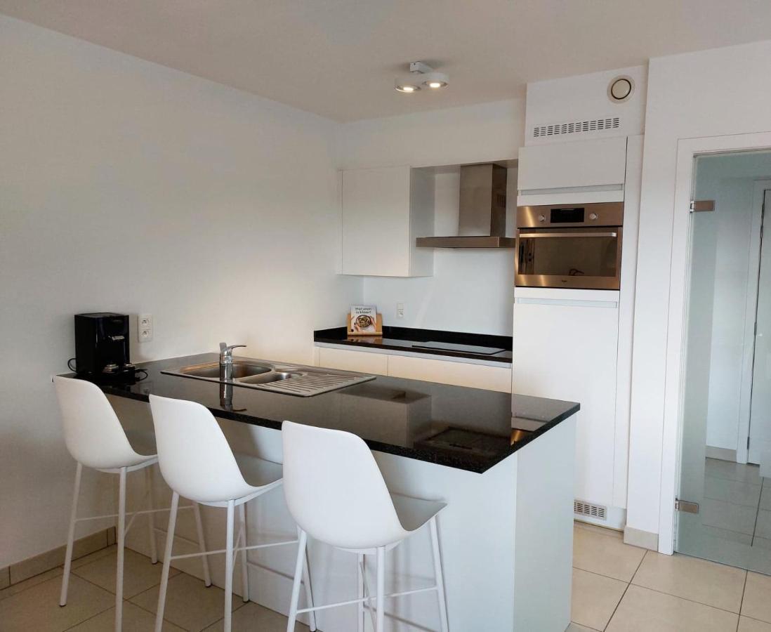 Duplex Villa Capricia Appartement Met Zwembad Nieuwpoort Jachthaven Εξωτερικό φωτογραφία