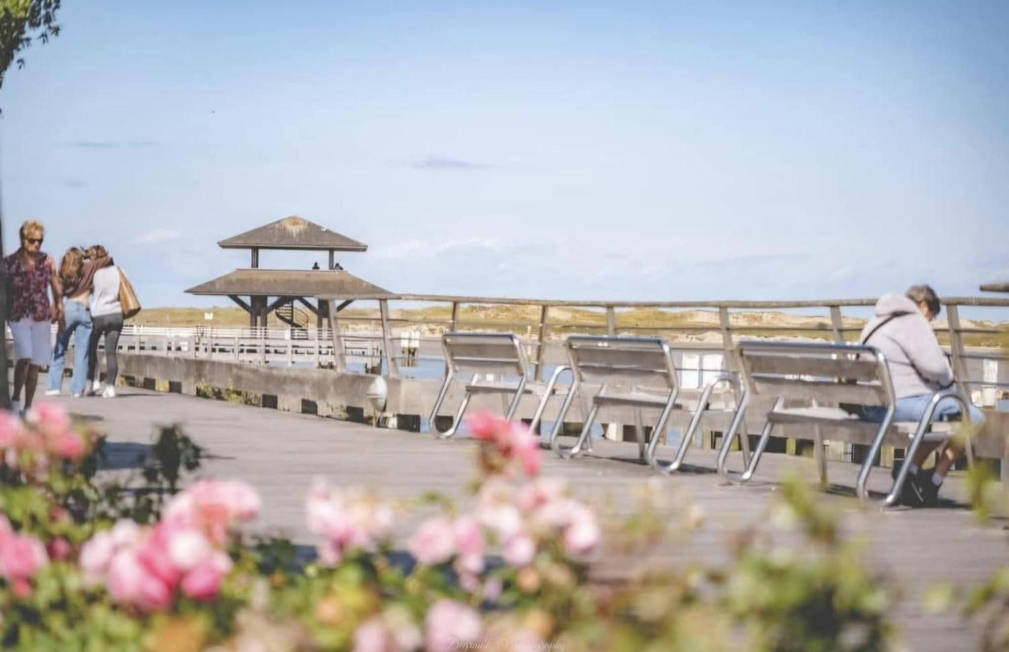 Duplex Villa Capricia Appartement Met Zwembad Nieuwpoort Jachthaven Εξωτερικό φωτογραφία